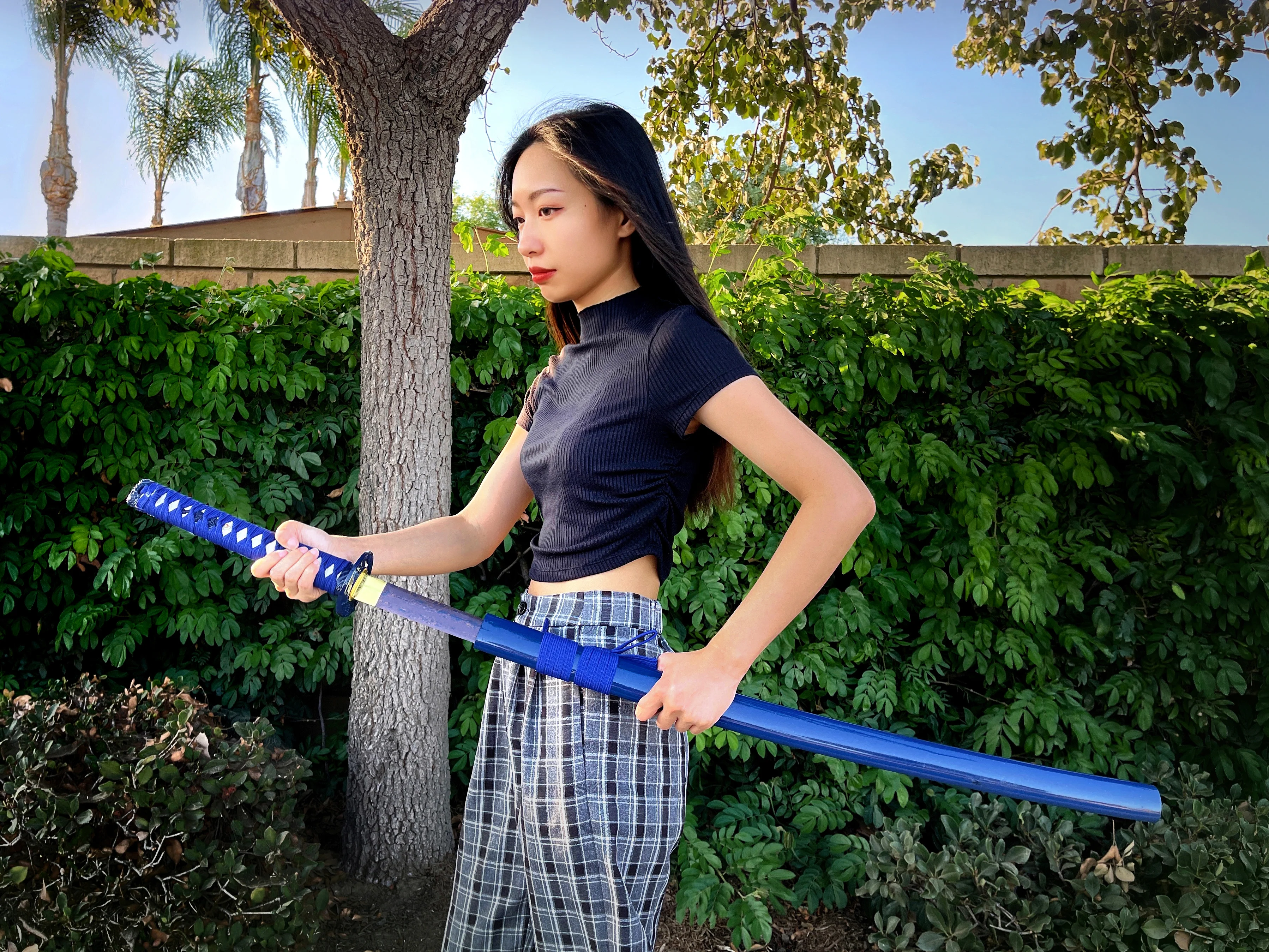 Musha "Blue Phoenix" Katana - Image 2